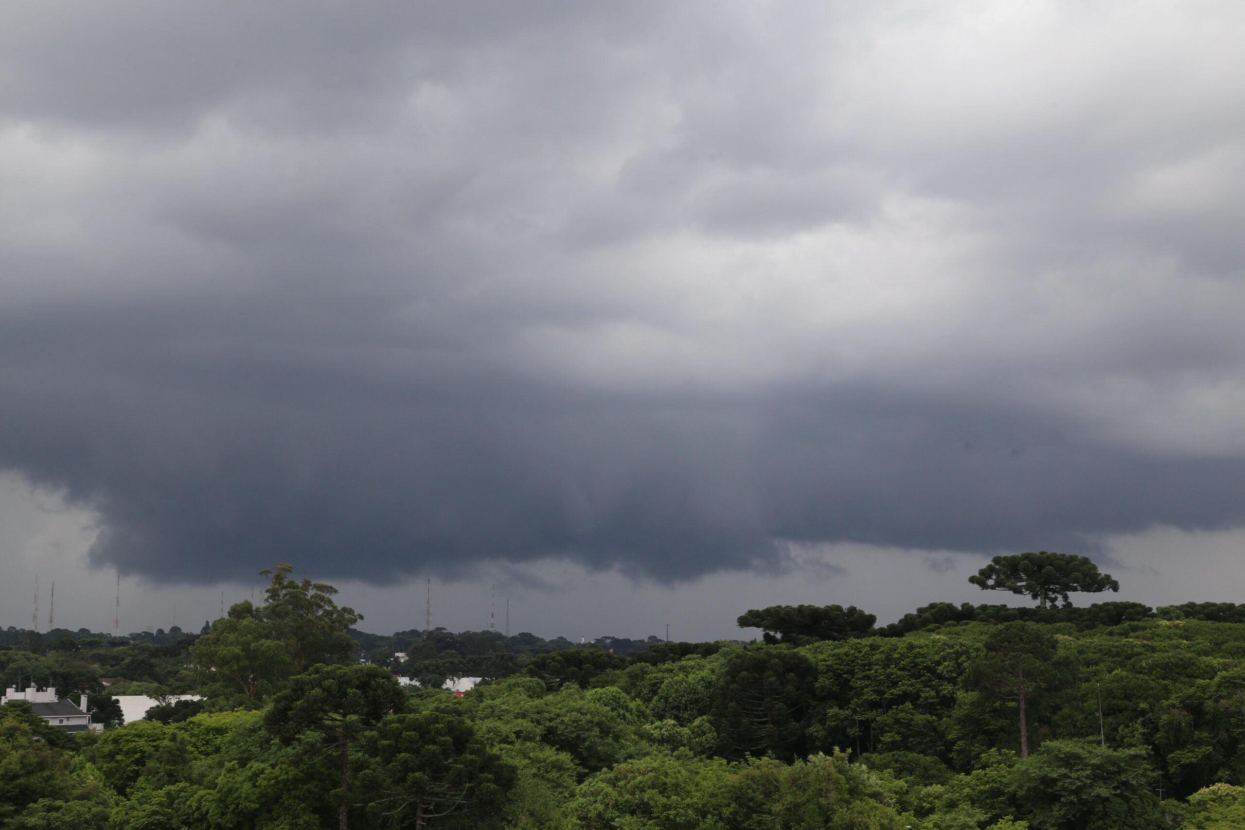 Foto Reprodução